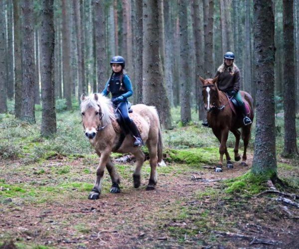 Ferienhof Gerda St. Georgen im Schwarzwald Exterior foto